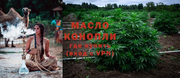 ГАЛЛЮЦИНОГЕННЫЕ ГРИБЫ Верея