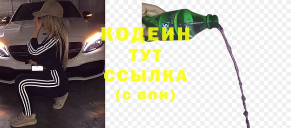 ГАЛЛЮЦИНОГЕННЫЕ ГРИБЫ Верея