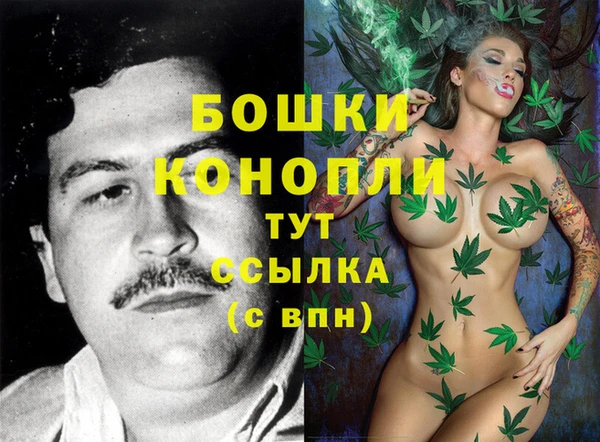 ГАЛЛЮЦИНОГЕННЫЕ ГРИБЫ Верея